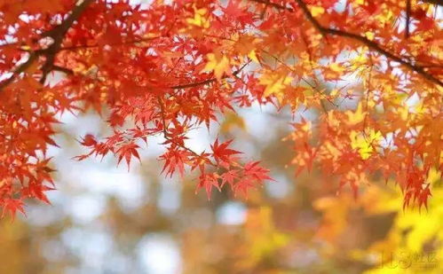 旅游 從鎮(zhèn)江坐高鐵便可抵達的8個絕美仙境 值得一去